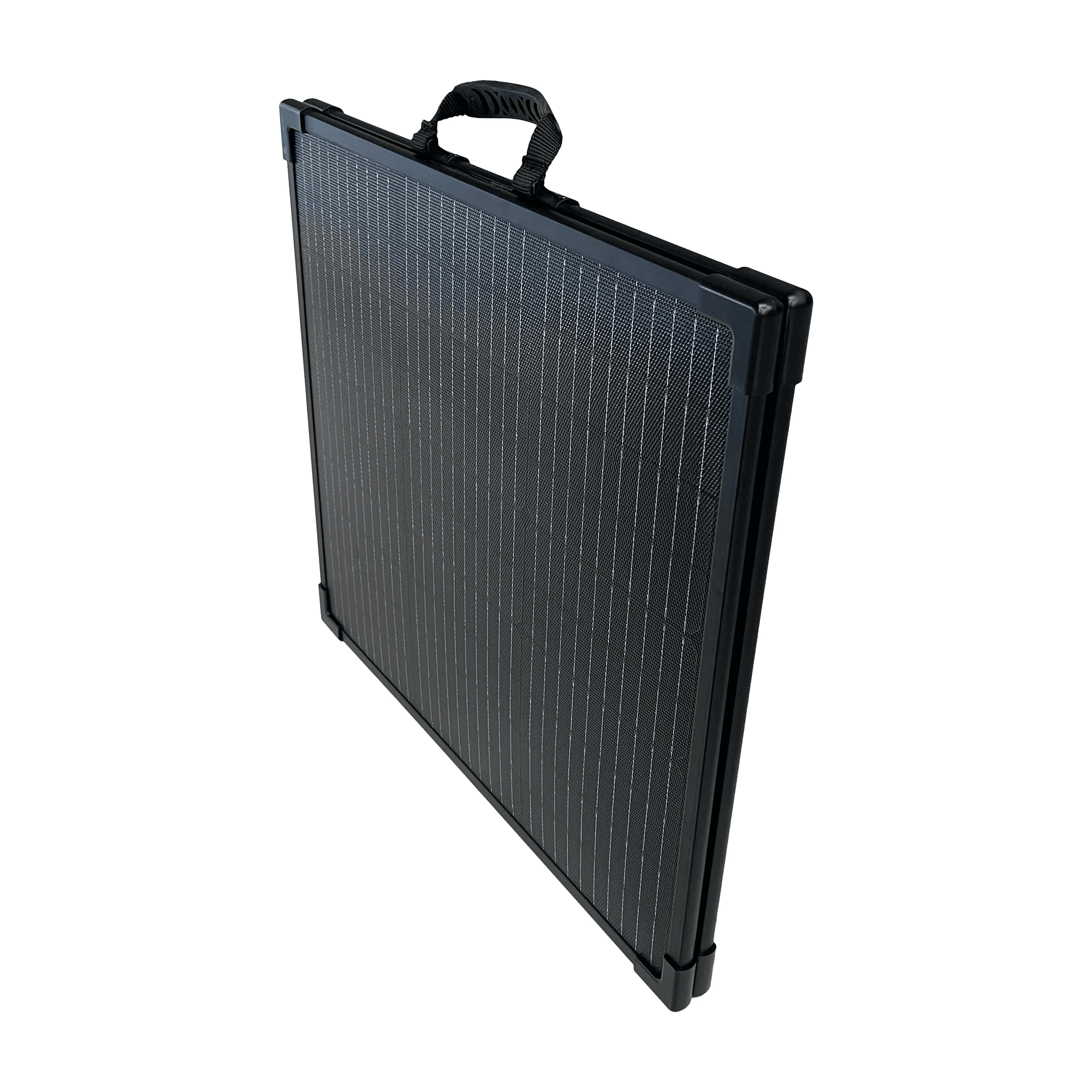 Lion Energy 100W 24V Solar Panel - Generator Vault - 