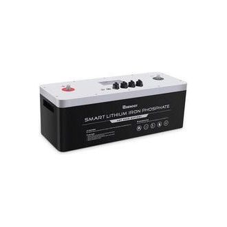 Renogy 48V 50Ah Smart Lithium Iron Phosphate Battery - Generator Vault - 