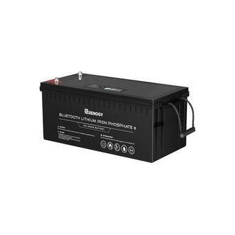 Renogy 12V 200Ah Lithium Iron Phosphate Battery with Bluetooth - Generator Vault - No - 