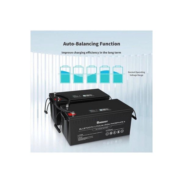Renogy 12V 200Ah Lithium Iron Phosphate Battery with Bluetooth - Generator Vault - No - 