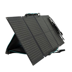 EcoFlow DELTA 1600 & 110W Portable Solar Panel