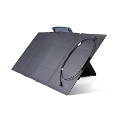EcoFlow DELTA 1000 & 160W Portable Solar Panel DELTA1KUS161